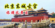 嗯啊嗯啊骚逼操嗯啊骚货小母狗影片国产中国北京-东城古宫旅游风景区